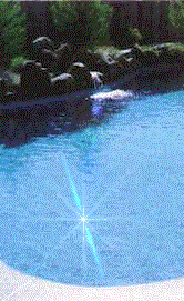 piscina_perdita_acqua
