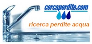 cerca_perdite